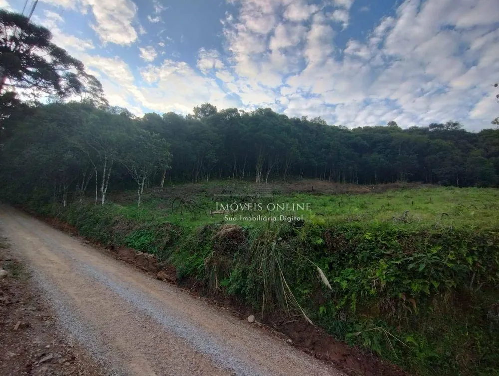 Chácara, 2 hectares - Foto 3