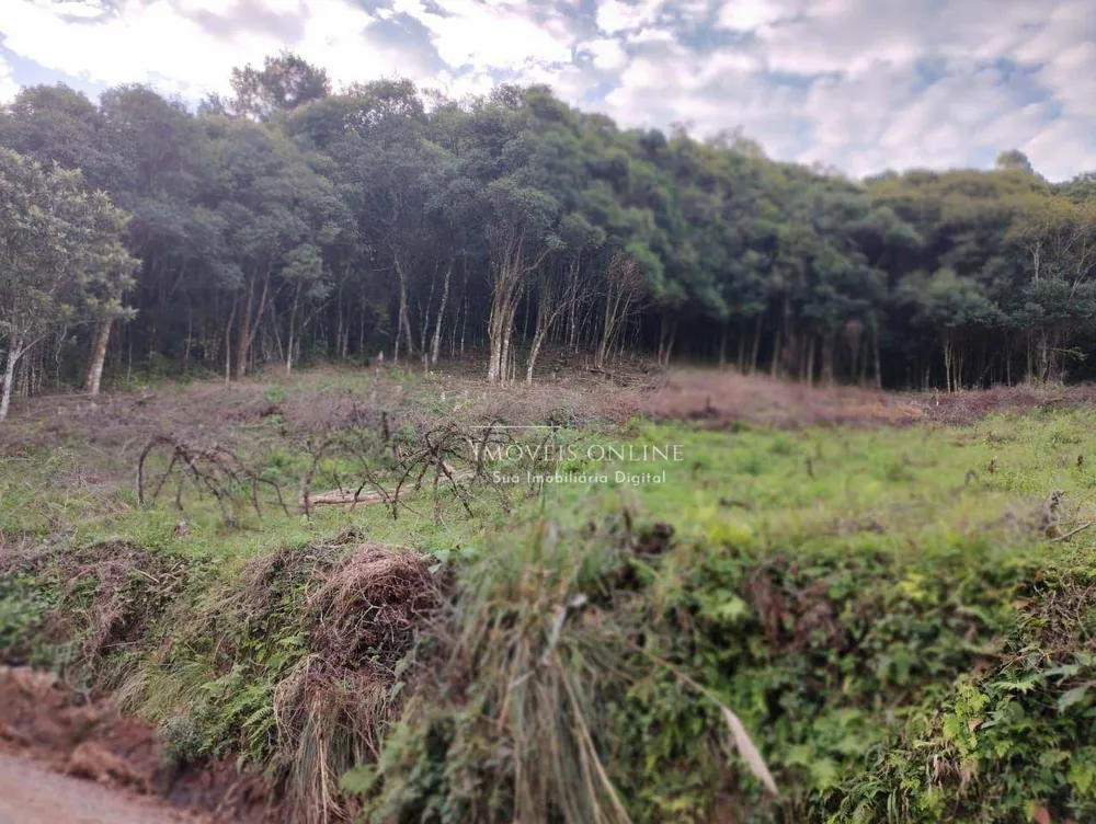 Chácara, 2 hectares - Foto 1