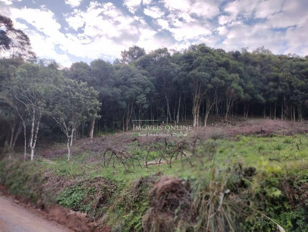 Chácara, 2 hectares - Foto 2