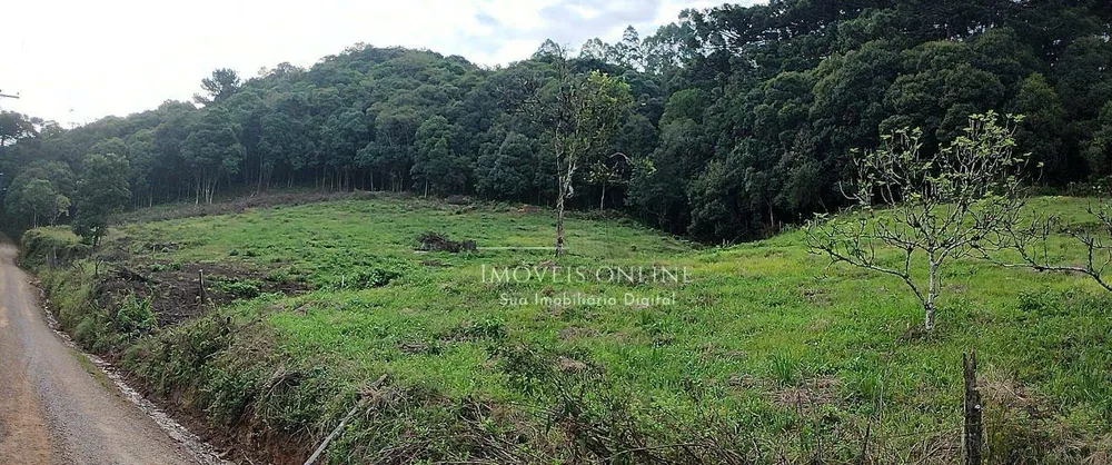 Chácara, 2 hectares - Foto 4