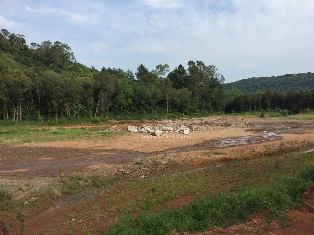 Terreno, 2 hectares - Foto 3