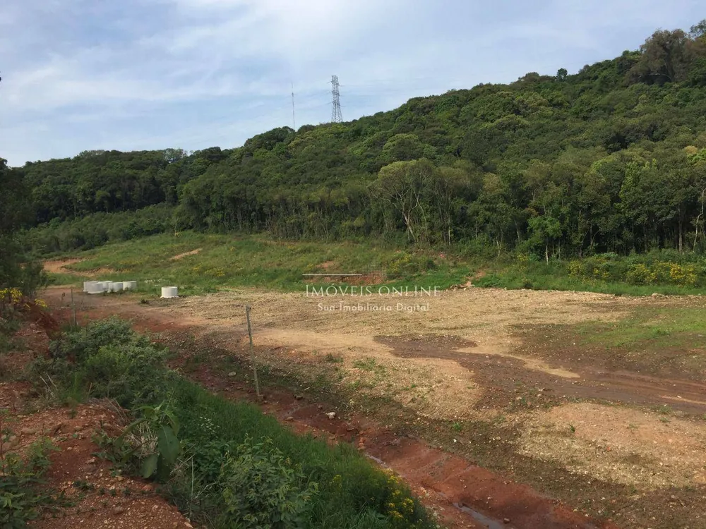 Terreno, 2 hectares - Foto 4
