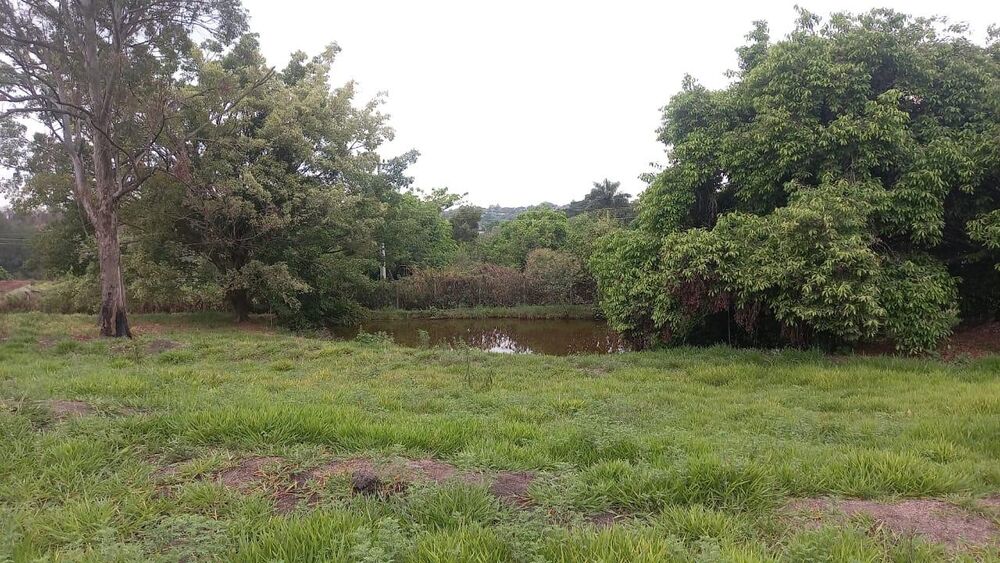 Sítio, 4 quartos, 2 hectares - Foto 8