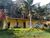 Chácara, 3 quartos, 3 hectares - Foto 2