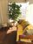 Apartamento, 3 quartos, 98 m² - Foto 1