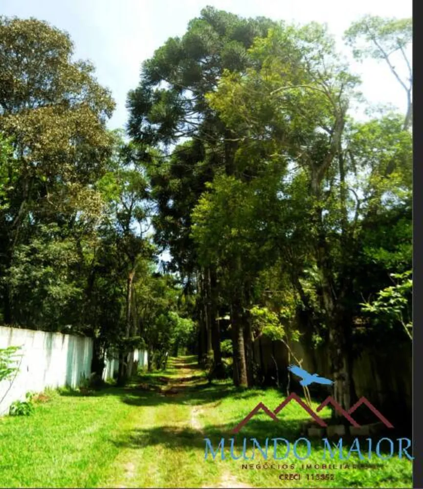 Chácara, 3 quartos, 6000 m² - Foto 10