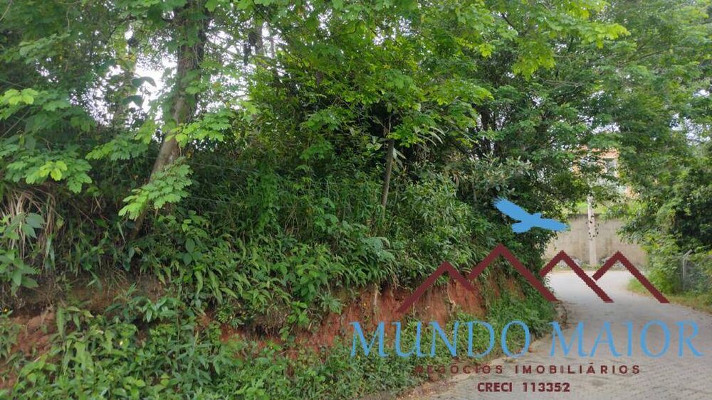 Terreno, 1200 m² - Foto 3