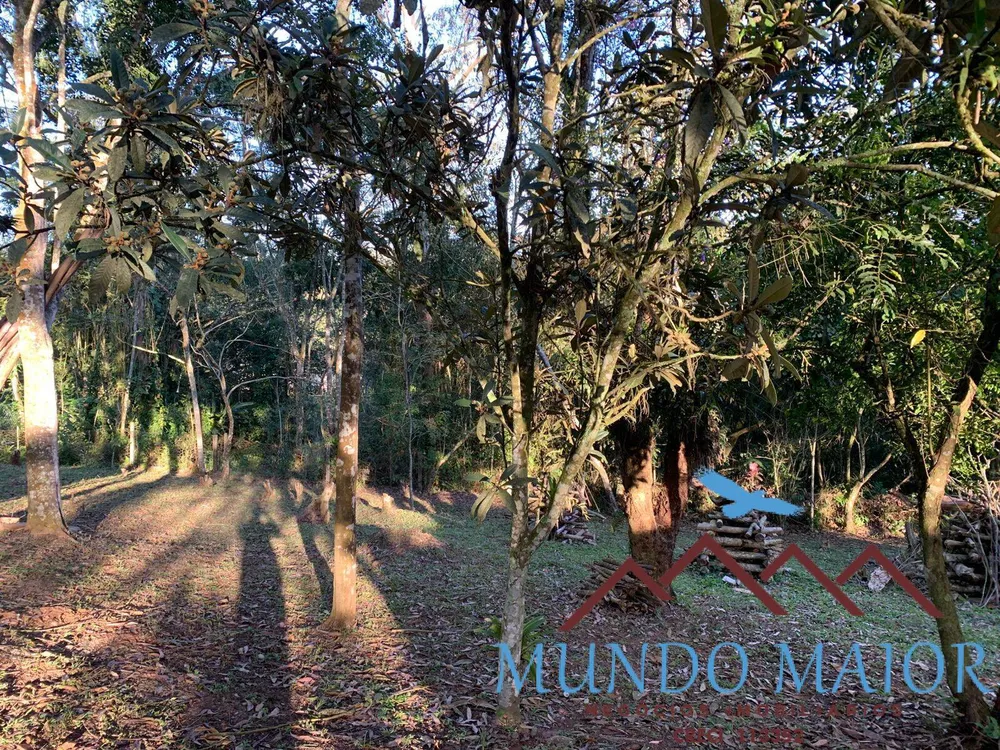 Chácara, 3 quartos, 1 hectares - Foto 6