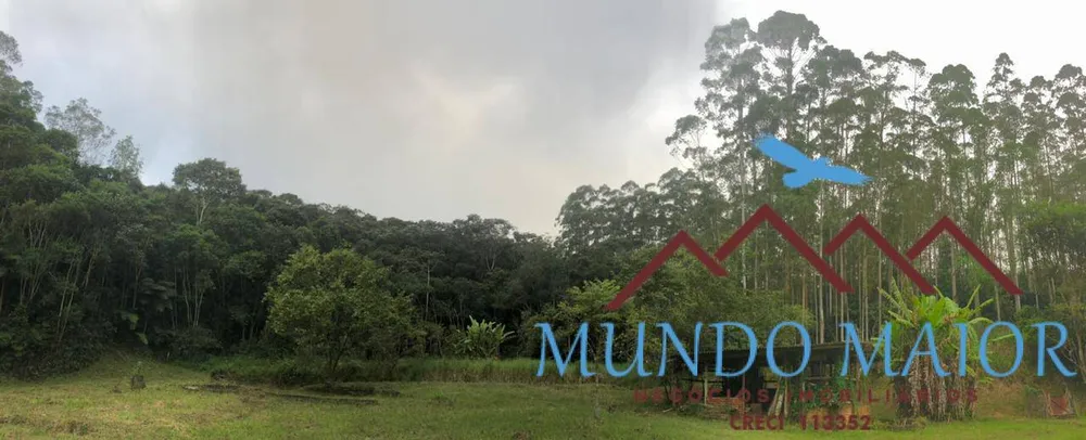 Sítio, 4 quartos, 44 hectares - Foto 6