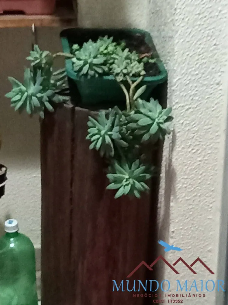 Apartamento, 3 quartos, 60 m² - Foto 14