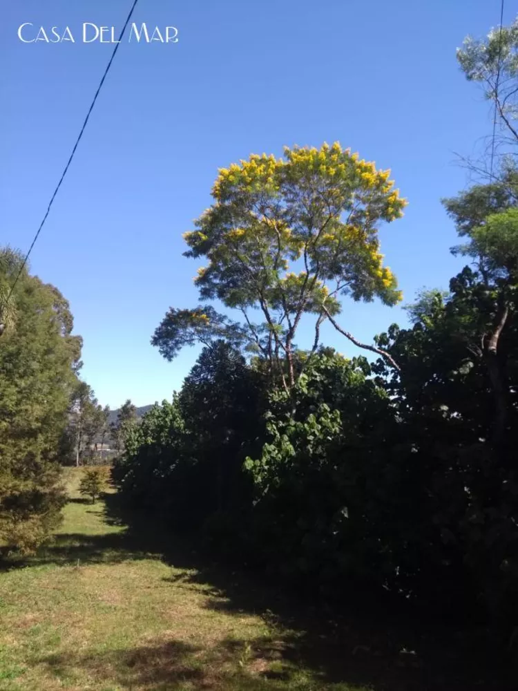 Sítio, 7 quartos, 250 m² - Foto 14