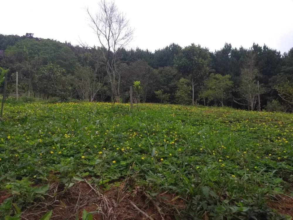 Sítio, 7 quartos, 250 m² - Foto 15