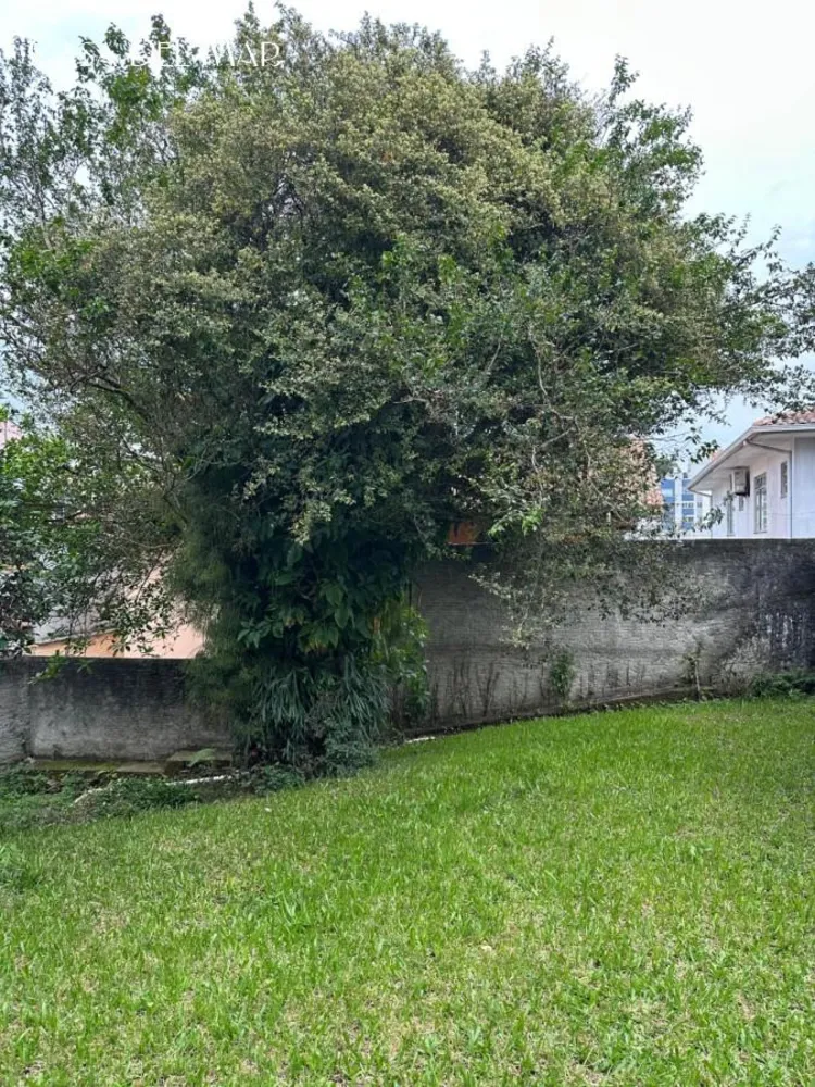 Casa, 4 quartos, 239 m² - Foto 8
