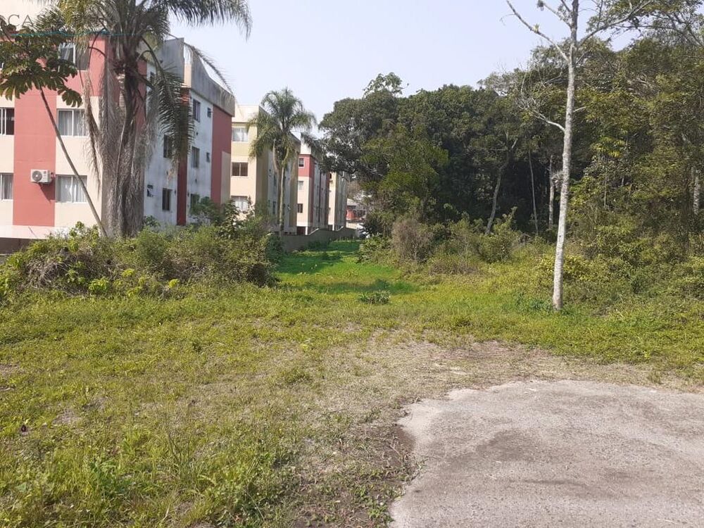 Terreno, 3643 m² - Foto 3