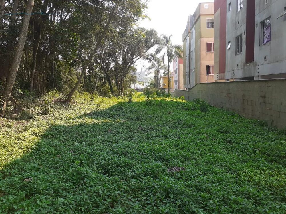 Terreno, 3643 m² - Foto 2