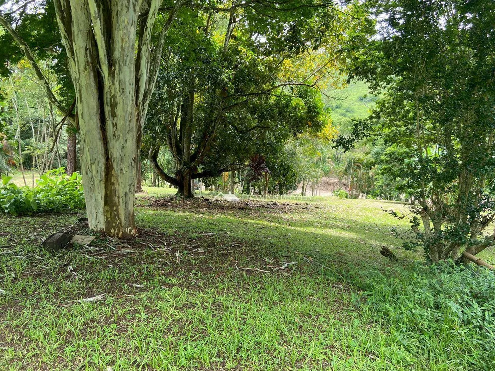 Terreno, 8 hectares - Foto 7