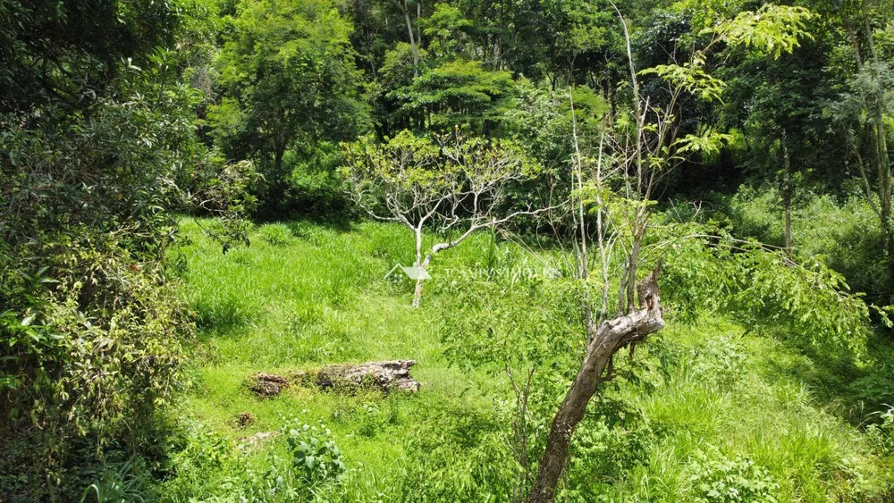 Terreno, 8 hectares - Foto 6
