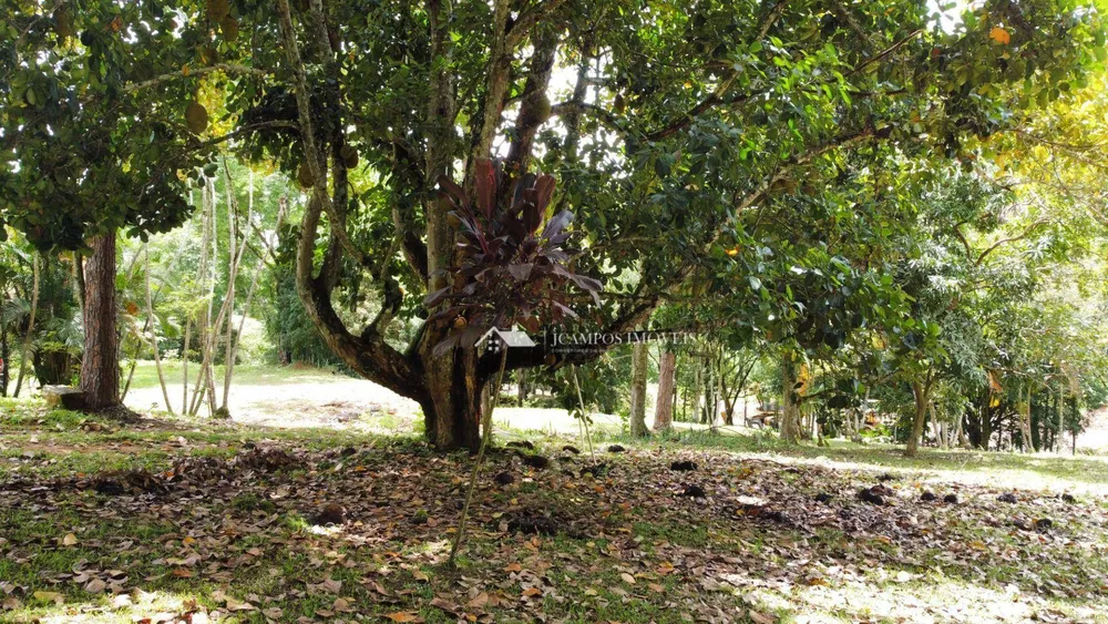 Terreno, 8 hectares - Foto 4