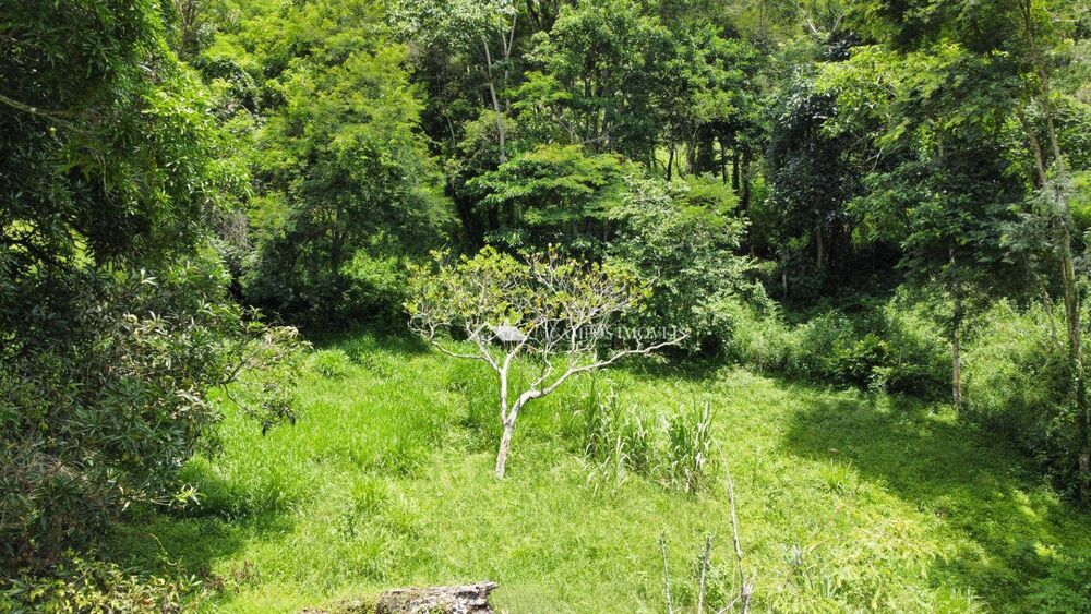 Terreno, 8 hectares - Foto 17