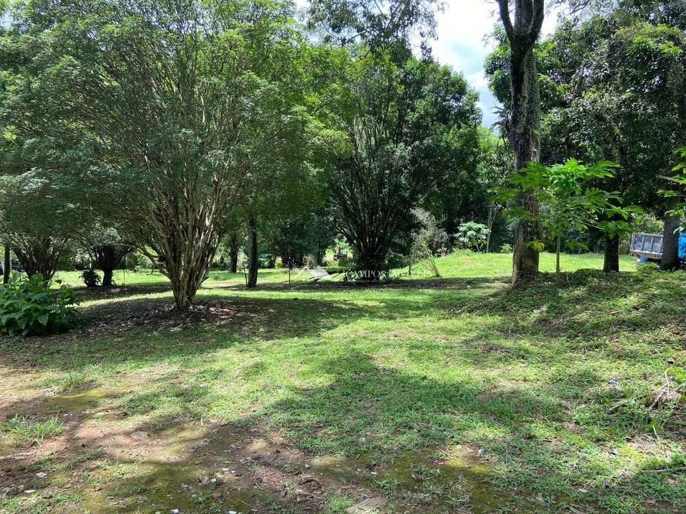 Terreno, 8 hectares - Foto 1