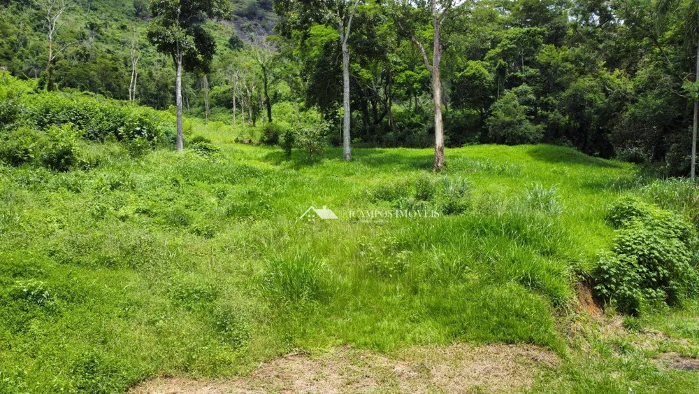 Terreno, 8 hectares - Foto 8