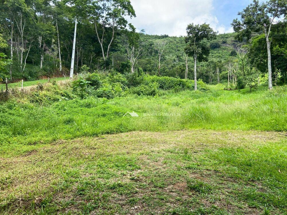 Terreno, 8 hectares - Foto 14