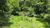 Terreno, 8 hectares - Foto 1