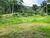 Terreno, 8 hectares - Foto 4