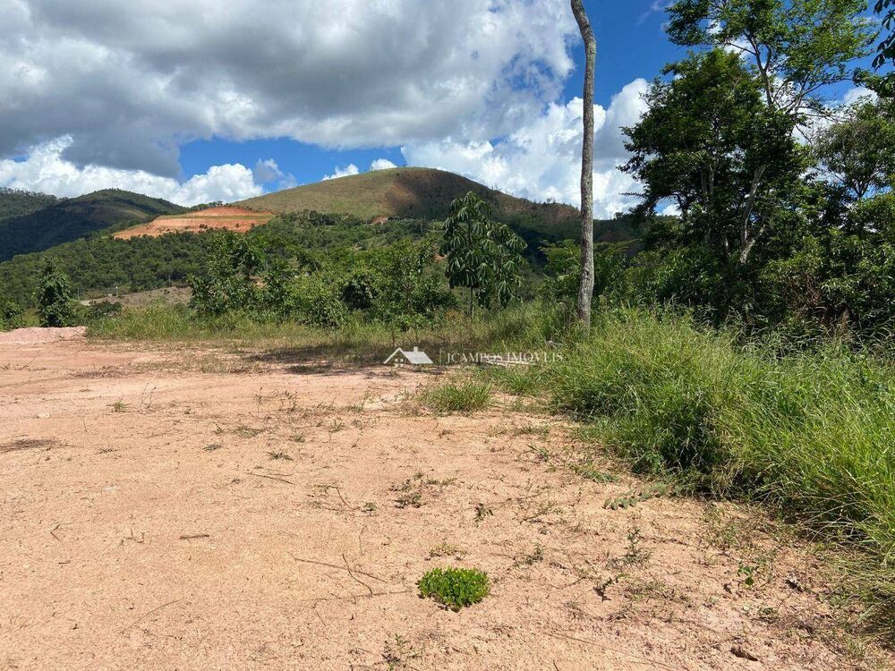 Loteamento e Condomínio, 8000 m² - Foto 3