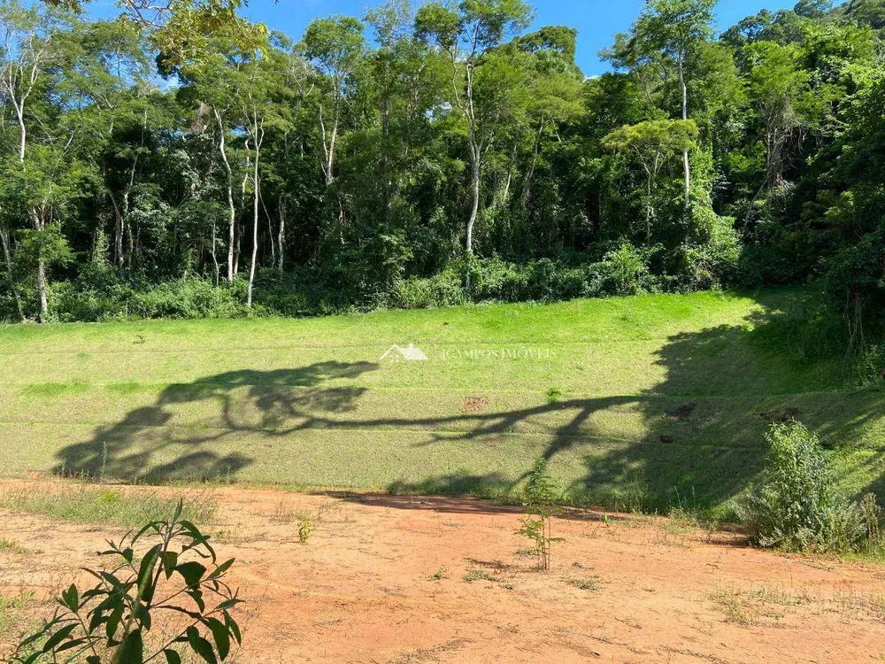 Terreno, 4100 m² - Foto 6