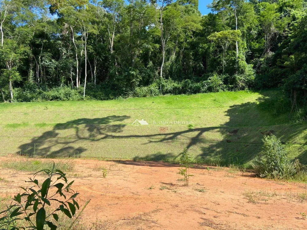 Terreno, 4100 m² - Foto 3