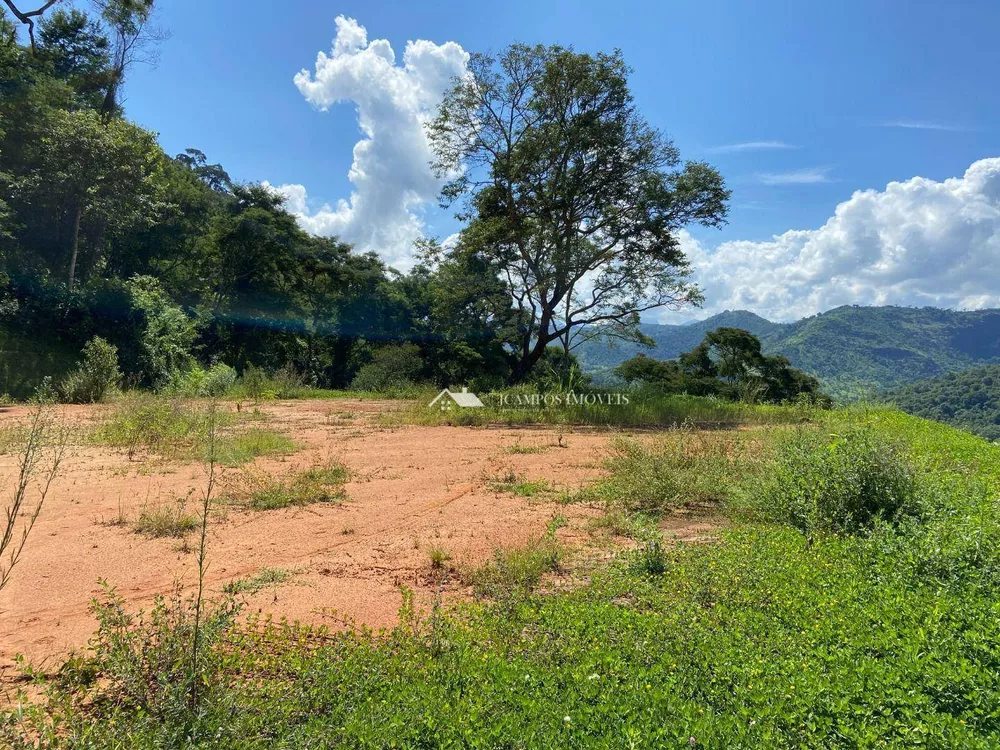Terreno, 4100 m² - Foto 4
