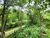 Terreno, 888 m² - Foto 5