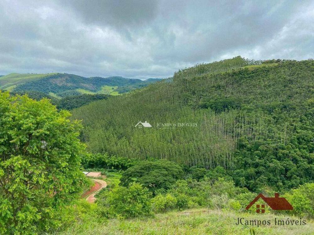 Terreno, 4900 m² - Foto 4