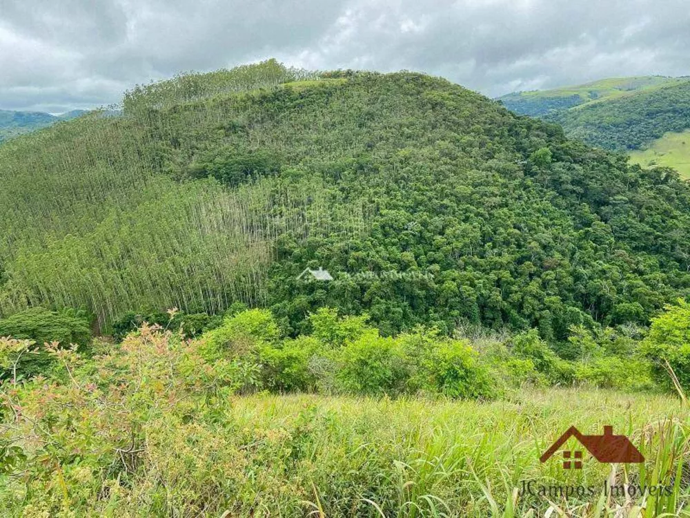 Terreno, 4900 m² - Foto 5