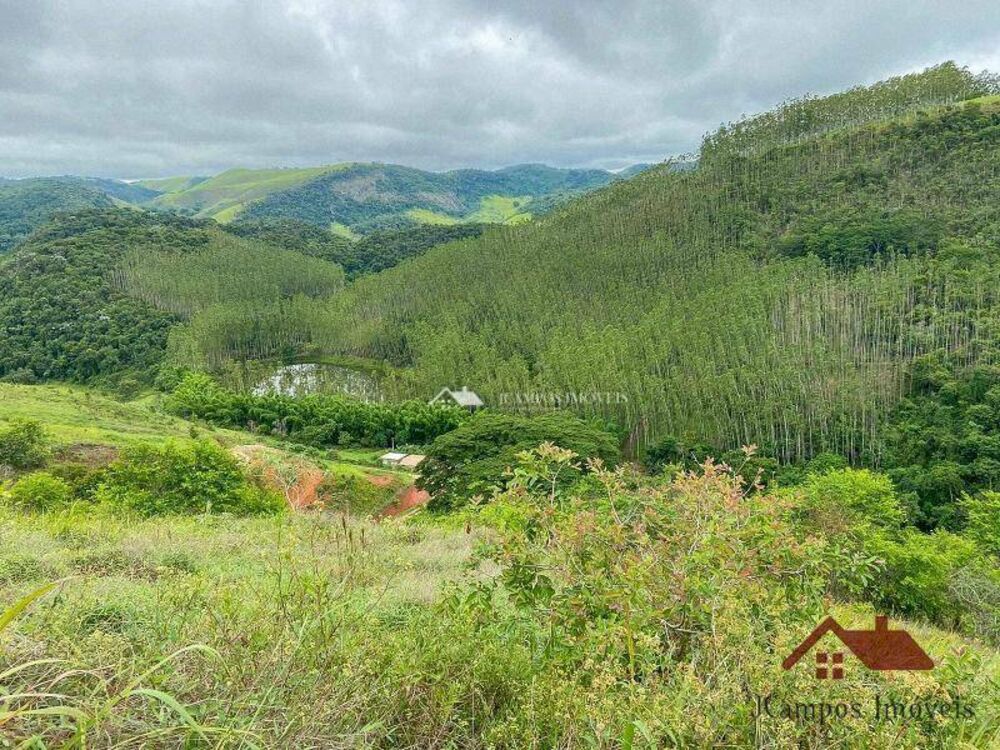 Terreno, 4900 m² - Foto 1