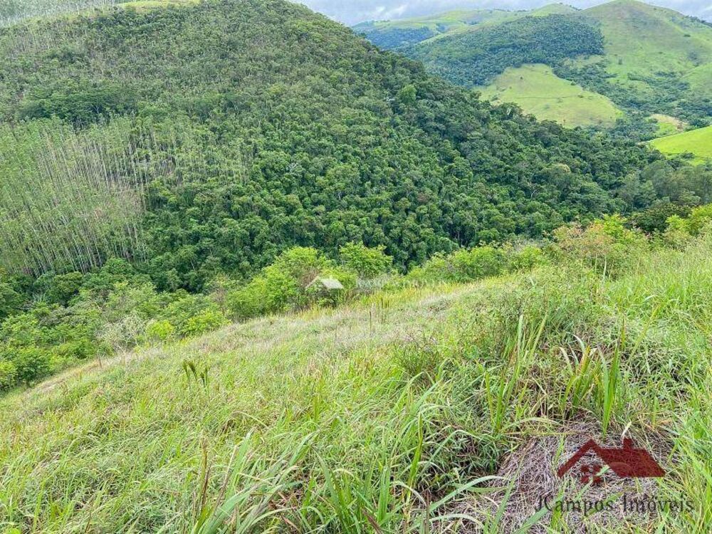 Terreno, 4900 m² - Foto 7