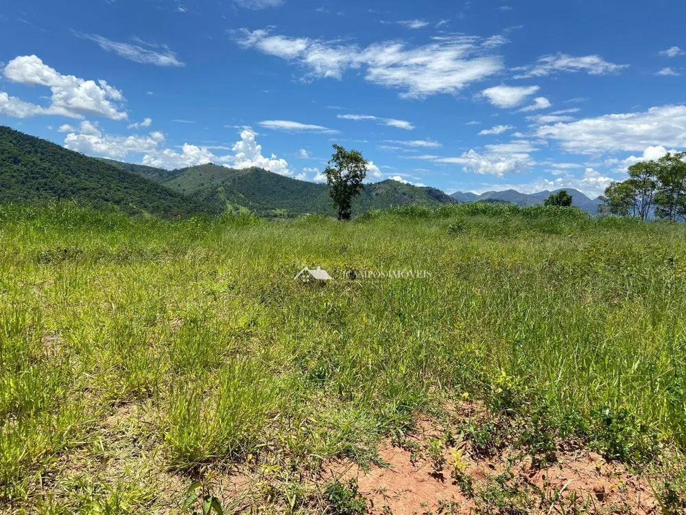 Terreno, 5000 m² - Foto 2