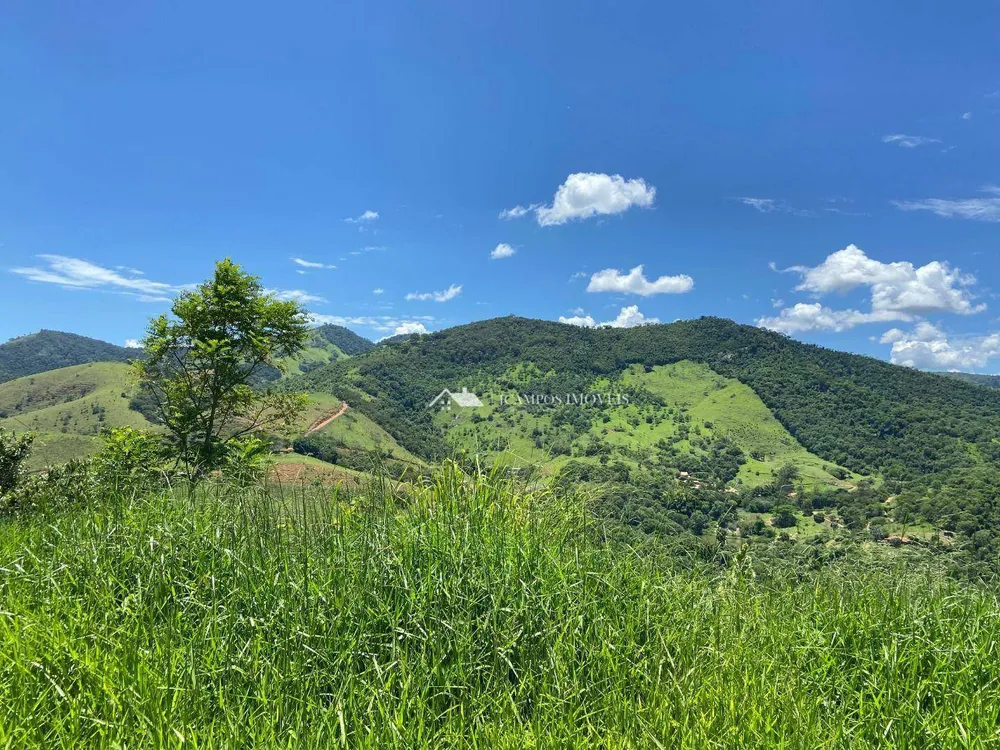 Terreno, 5000 m² - Foto 5