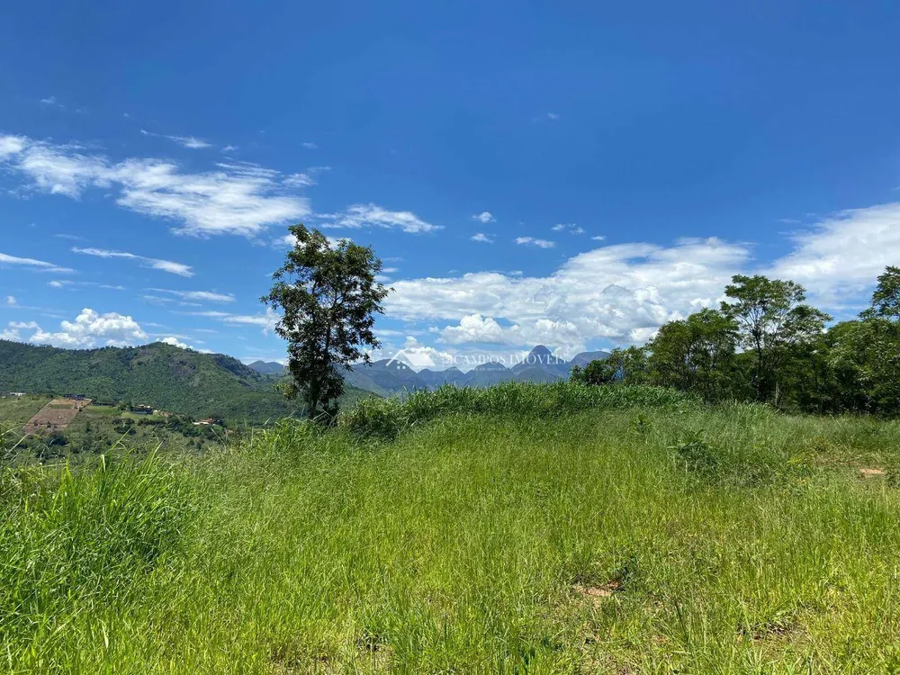 Terreno, 5000 m² - Foto 4