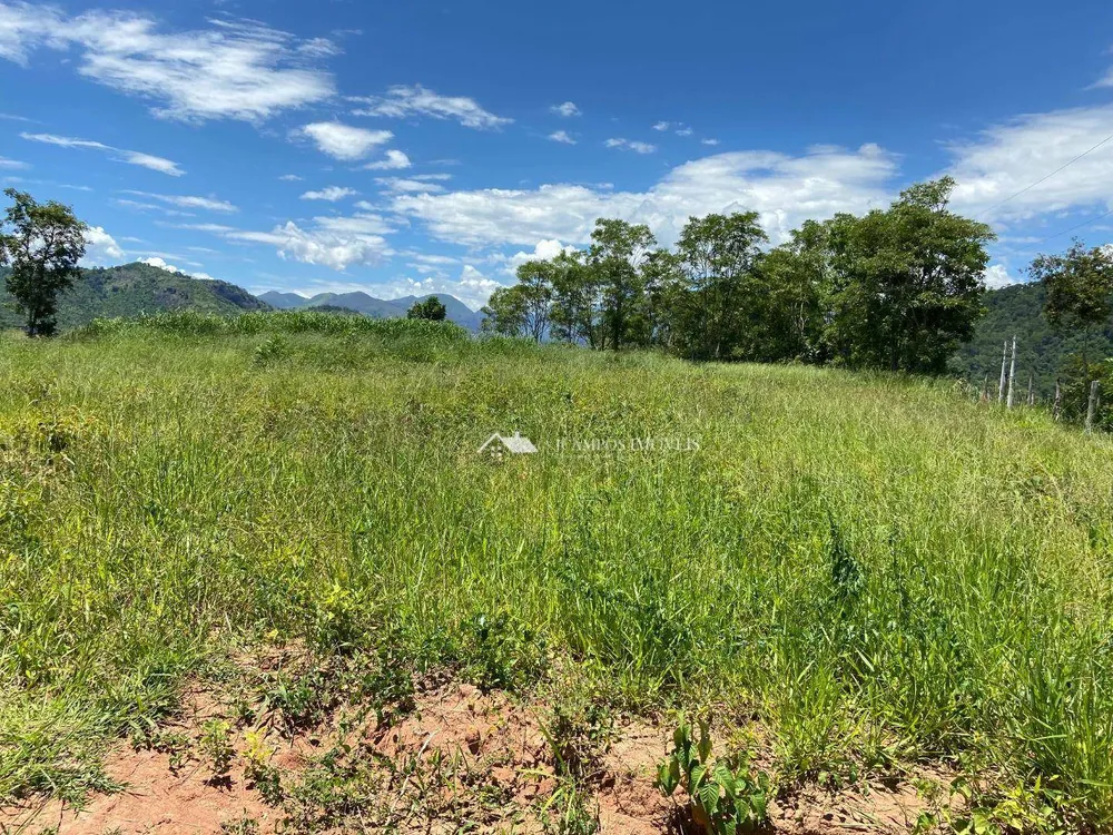 Terreno, 5000 m² - Foto 6