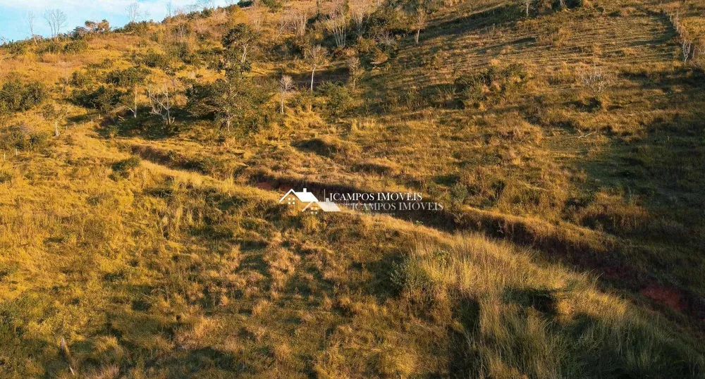 Terreno, 2 hectares - Foto 1