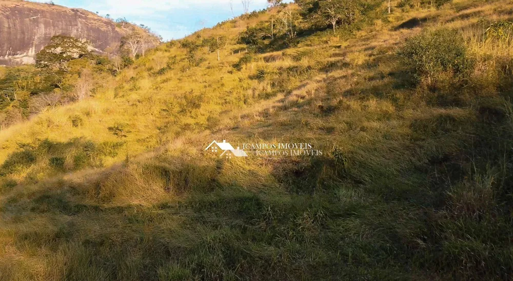 Terreno, 2 hectares - Foto 3
