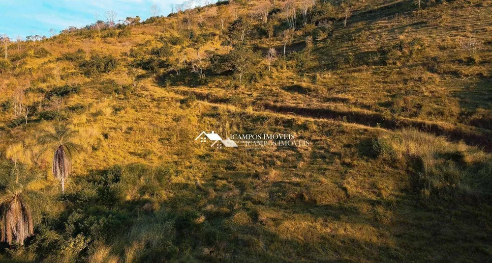 Terreno, 2 hectares - Foto 4