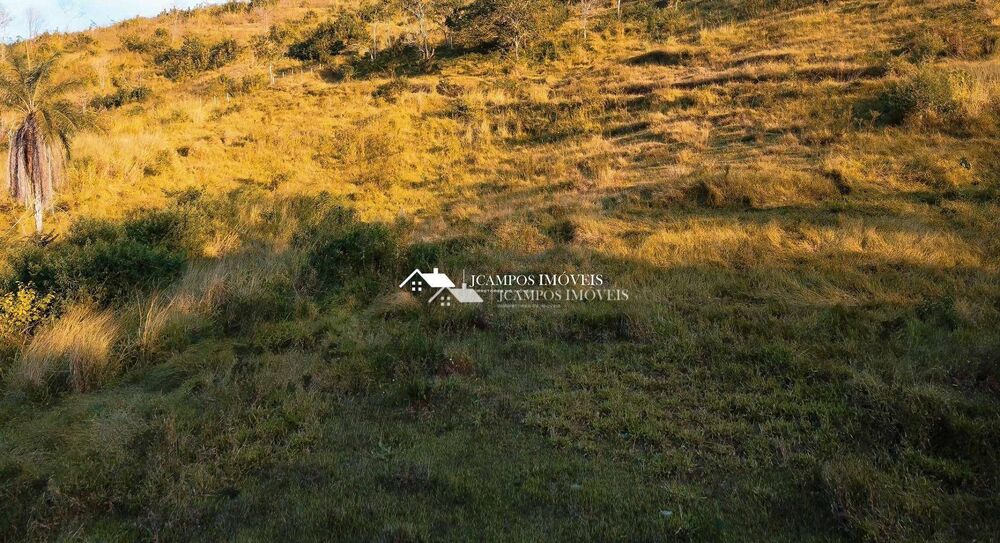 Terreno, 2 hectares - Foto 8