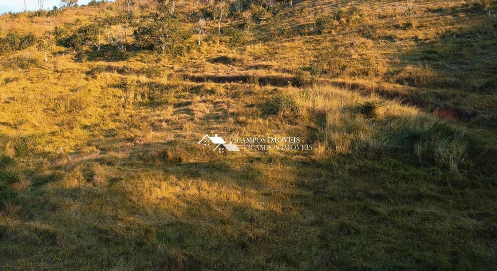 Terreno, 2 hectares - Foto 6