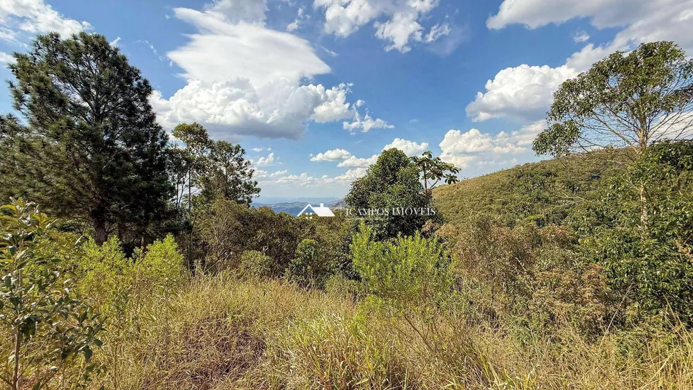 Terreno, 3000 m² - Foto 6