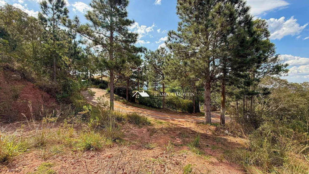 Terreno, 3000 m² - Foto 9