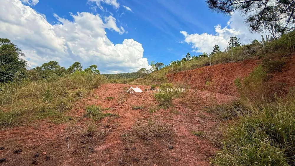 Terreno, 3000 m² - Foto 3