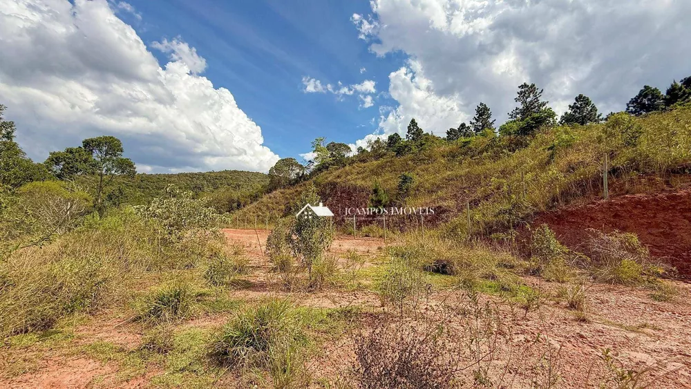 Terreno, 3000 m² - Foto 7